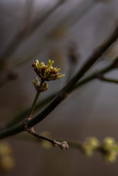 Similar image 22580183