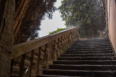 Similar image 22580184