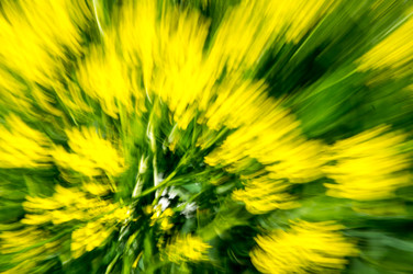 Similar image 22580228