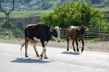 Similar image 22580234