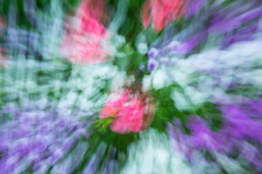 Similar image 22580247