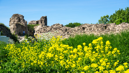 Similar image 22580248