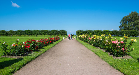 Similar image 22580252