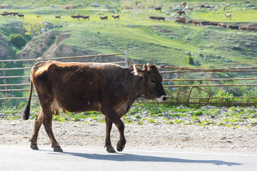 Similar image 22580253