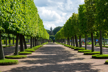 Similar image 22580255