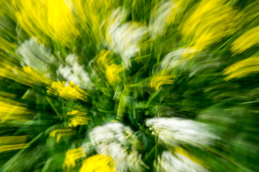 Similar image 22582066