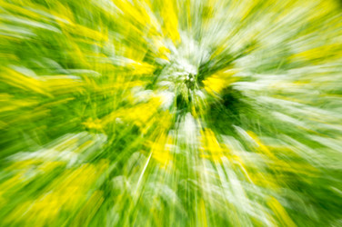 Similar image 22582082