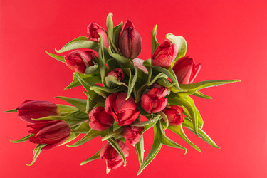 Similar image 22580123