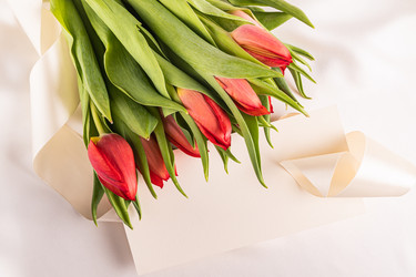 Similar image 22580136