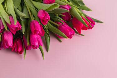 Similar image 22580137