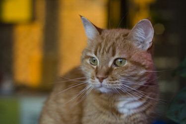 Similar image 22580146