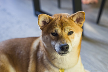 Similar image 22580153