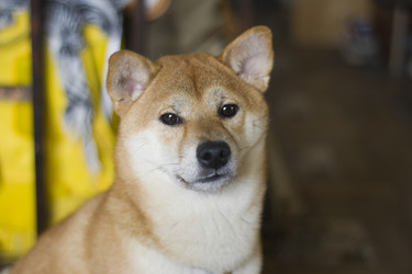 Similar image 22580154