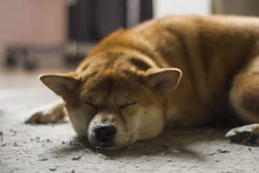 Similar image 22580155