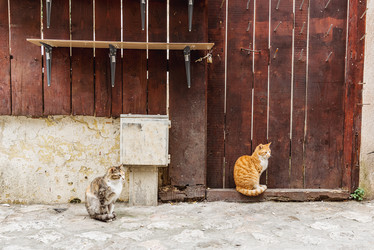 Similar image 22581384