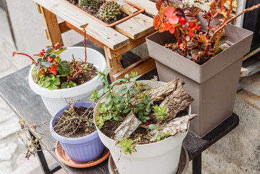 Similar image 22581404