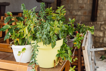 Similar image 22581417