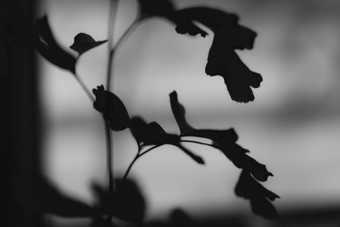 Similar image 22582754