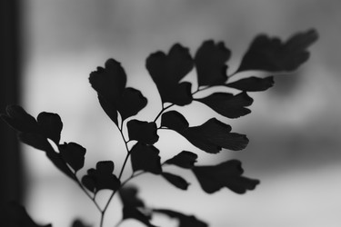 Similar image 22582755