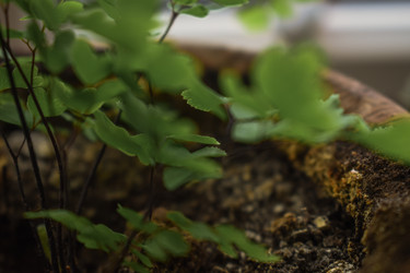 Similar image 22582756