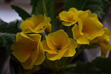 Similar image 22594672