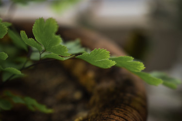 Similar image 22582757