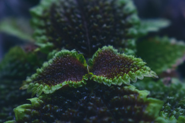 Similar image 22594673