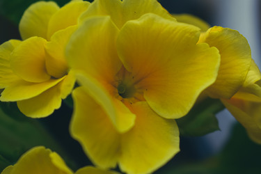 Similar image 22594674