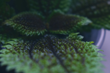 Similar image 22594675