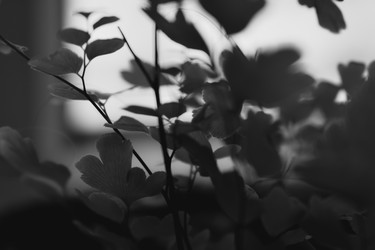 Similar image 22582758