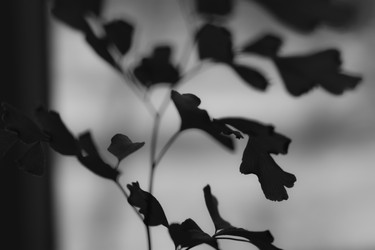 Similar image 22582759