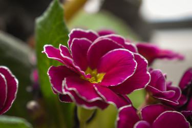 Similar image 22594676