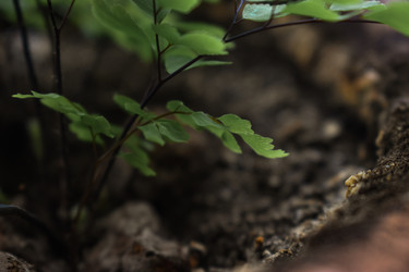 Similar image 22582781