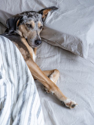 Similar image 22593271