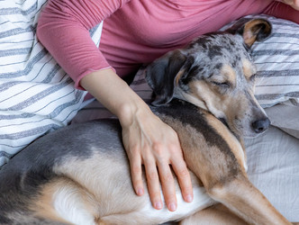 Similar image 22593289