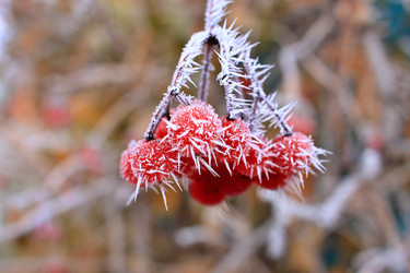 Similar image 22582784