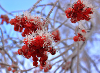 Similar image 22582785