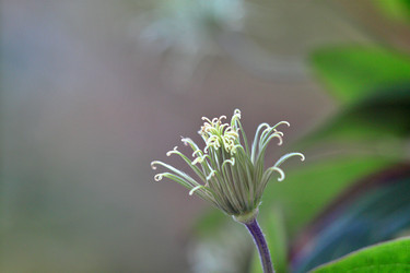 Similar image 22582786