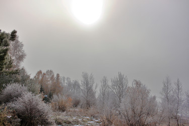 Similar image 22582787