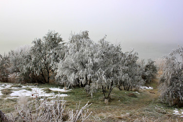 Similar image 22582788