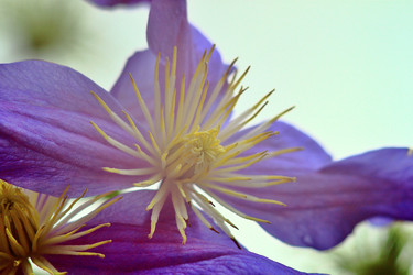 Similar image 22582790