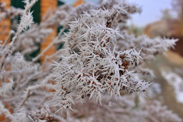 Similar image 22582791