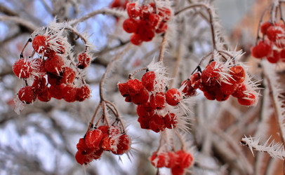 Similar image 22582792