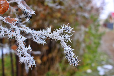 Similar image 22582808