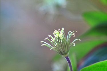 Similar image 22582810