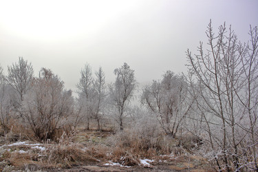 Similar image 22582811