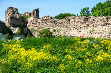 Similar image 22582074