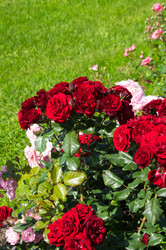 Similar image 22582086