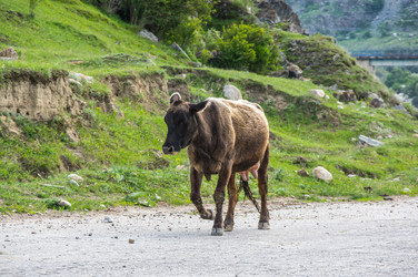 Similar image 22582094