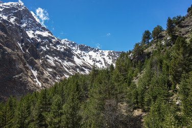 Similar image 22582095